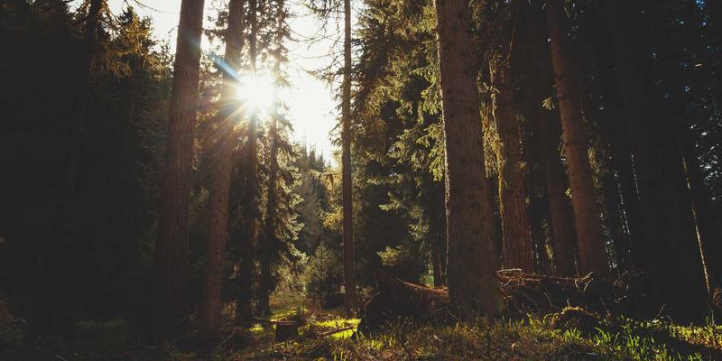 从古罗马神殿到现代豪宅：智煌石材解读洞石的前世今生与设计革命