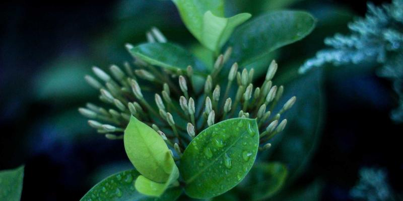 智煌石材：揭秘数据中心与实验室特殊环境下的石材抗静电与耐腐蚀处理技术