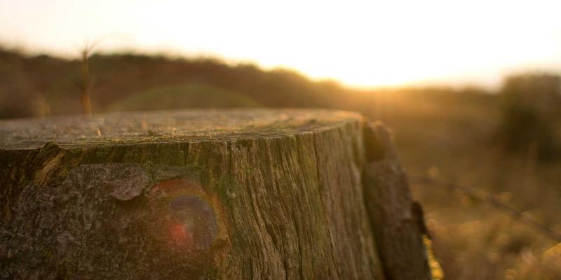 智煌石材：揭秘高端卫浴空间的石材整体化设计艺术与防潮科技
