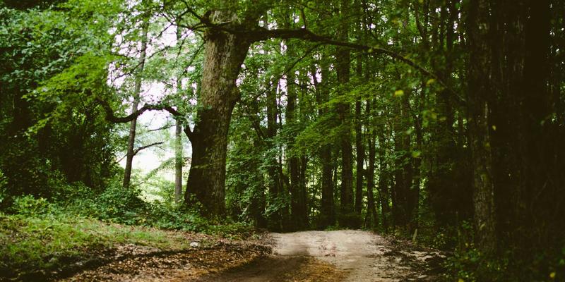 智煌石材深度解析:玉石类石材如何以光影艺术定义顶级空间美学与永恒价值