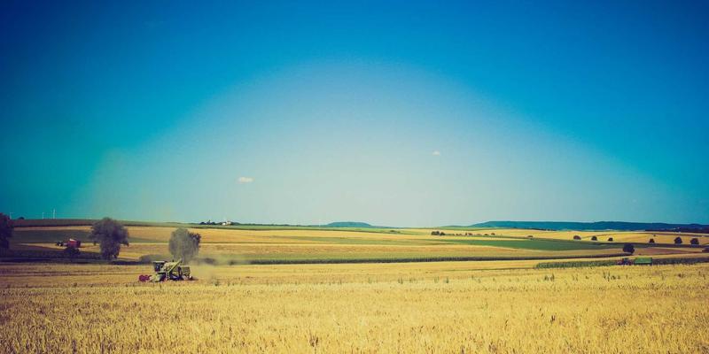 智煌石材：解锁仿古面、荔枝面等特殊工艺，重塑石材设计与工程装饰美学