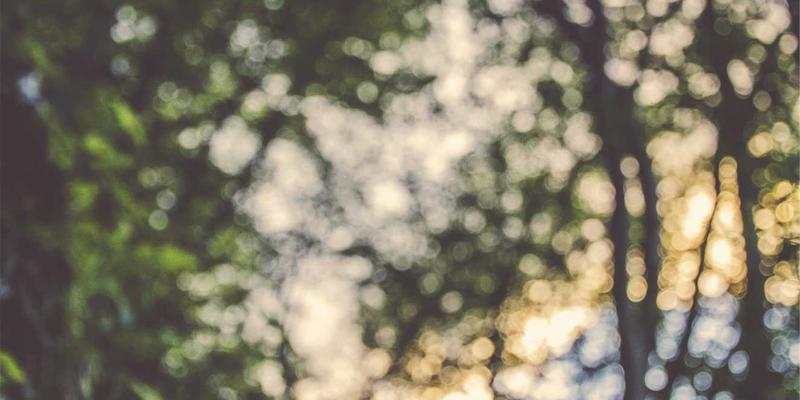 智煌石材设计指南:巧用板岩、石英岩天然纹理,打造惊艳全屋的主题墙艺术