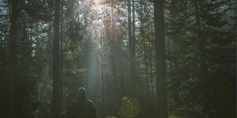 智煌石材:超薄石材复合板如何重塑建筑幕墙与室内装饰的未来?